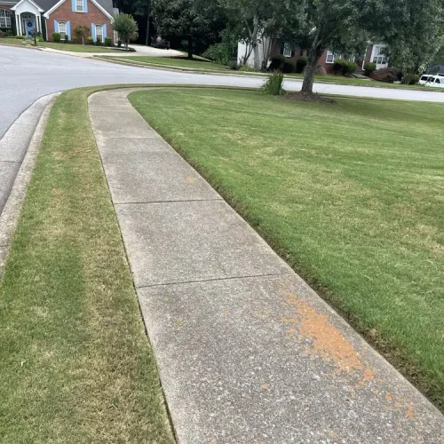 rg-fence-and-landscaping (12)