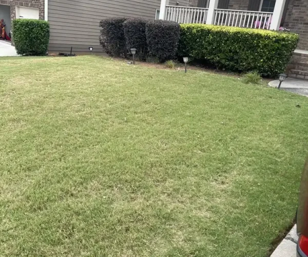 rg-fence-and-landscaping (35)